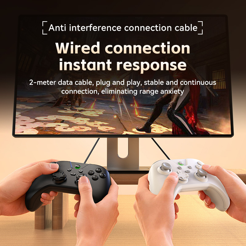 Wired PC Game Controller, USB  - огляд і ціна Laptop Gaming Console