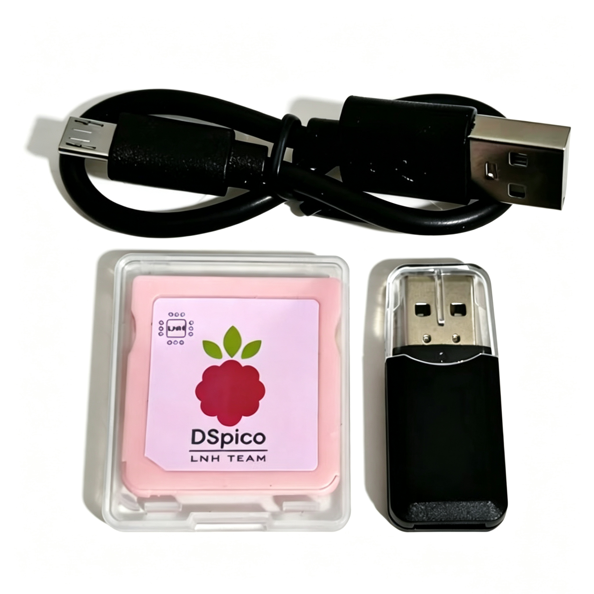 New DSpico Game Reader Cart In - огляд і ціна Gaming Console Nintendo